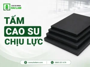 Tấm cao su chịu lực
