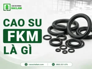 cao su FKM là gì
