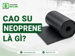 Cao su Neoprene là gì