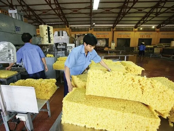 cao su tự nhiên là gì qua khâu kiểm tra nguyên liệu tại nhà máy