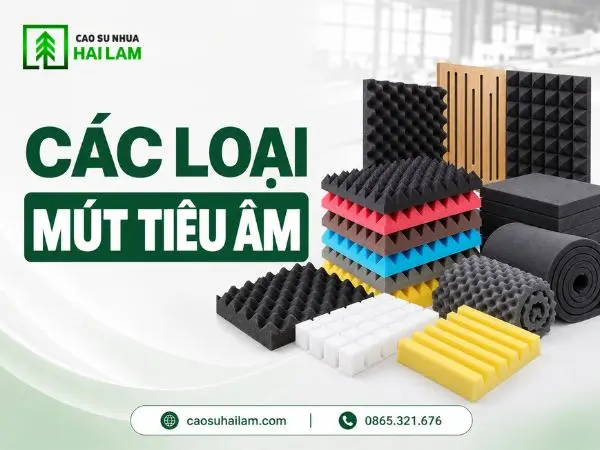 Các loại mút tiêu âm