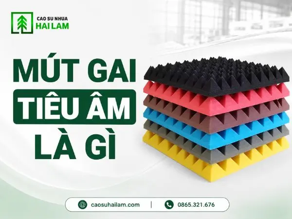 Mút gai tiêu âm là gì